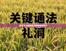 高空飞人蹦床选手勇敢挑战重力