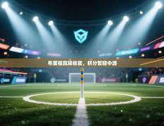 布莱顿赢球收官，积分暂稳中游