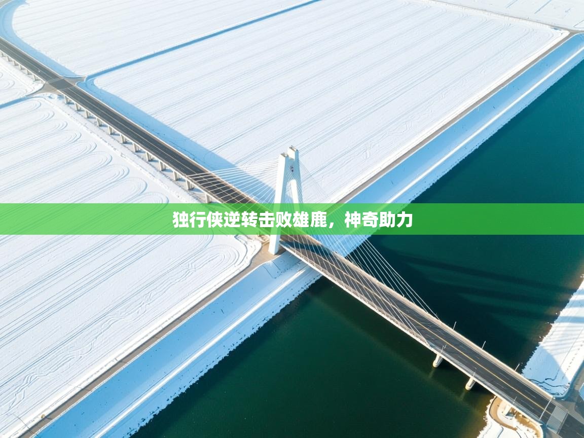 独行侠逆转击败雄鹿,神奇助力 第1张