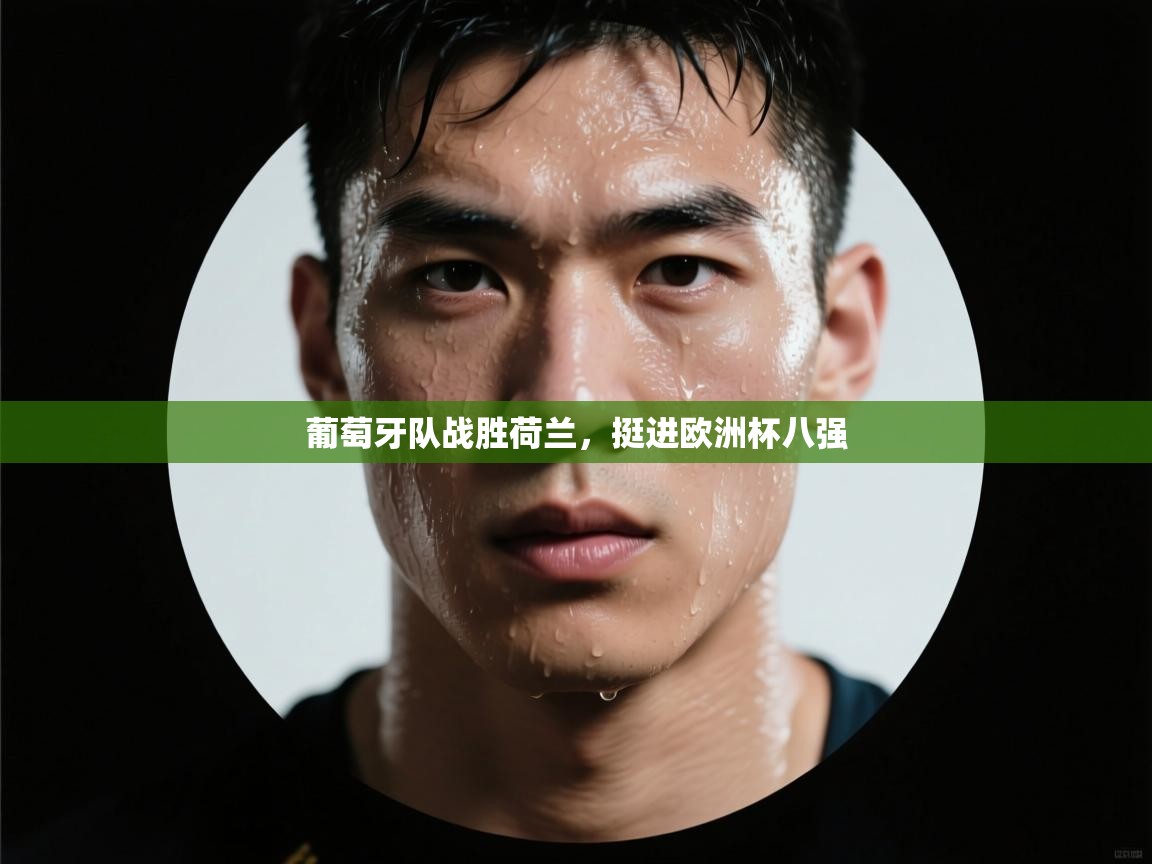 葡萄牙队战胜荷兰，挺进欧洲杯八强  第1张